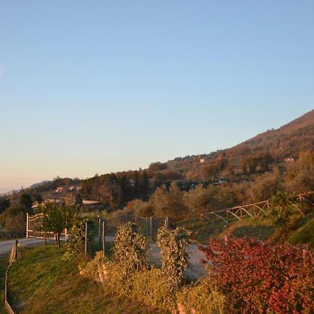 Locazione Turistica Villa Delle Rose Assise Extérieur photo